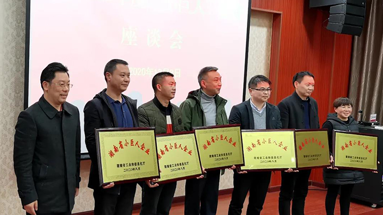 喜大普奔！炬神電子被評(píng)為湖南省“小巨人”企業(yè)